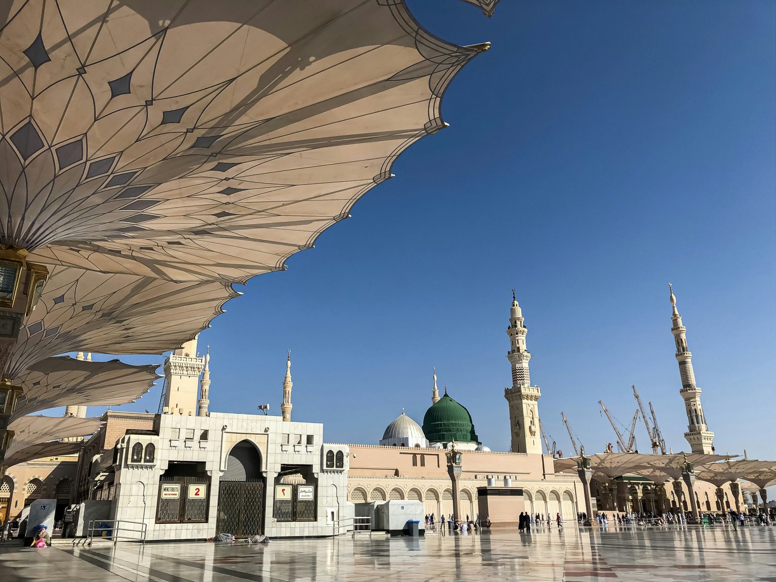 scheich-meshael-zahedd-2pyJGmCTjOc-unsplash